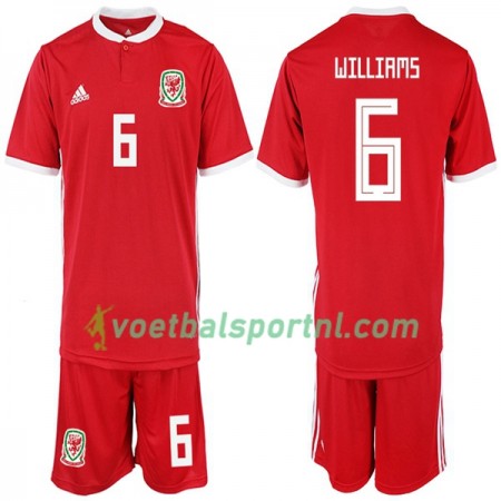Wales WILLIAMS 6 Kind Thuis Tenue 2018-19